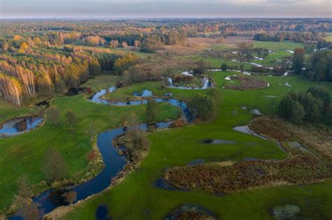 puszcza bolimowska ciekawe miejsca|Bolimowski Park Krajobrazowy